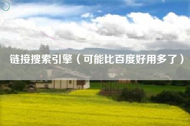 链接搜索引擎（可能比百度好用多了）