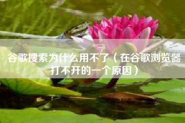 谷歌搜索为什么用不了（在谷歌浏览器打不开的一个原因）