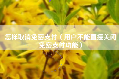 怎样取消免密支付（用户不能直接关闭免密支付功能）