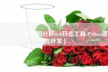 goaccess（开源的分析web日志工具-Python语言开发）