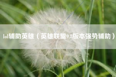 lol辅助英雄（英雄联盟9.8版本强势辅助）