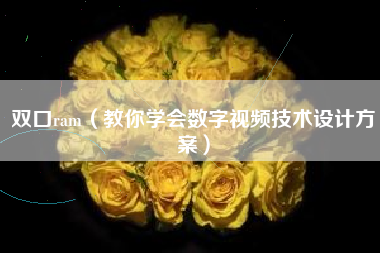 双口ram（教你学会数字视频技术设计方案）