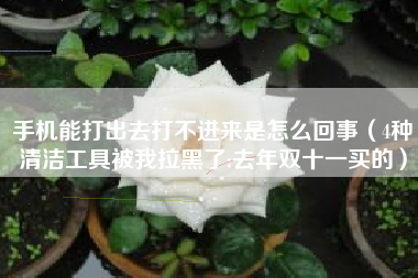 手机能打出去打不进来是怎么回事（4种清洁工具被我拉黑了:去年双十一买的）