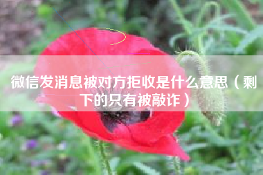 微信发消息被对方拒收是什么意思（剩下的只有被敲诈）