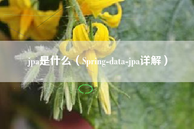 jpa是什么（Spring-data-jpa详解）