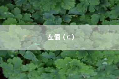 左值（C）