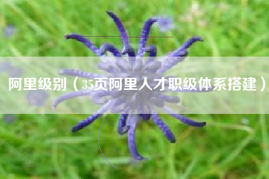 阿里级别（35页阿里人才职级体系搭建）