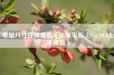 电脑尺寸在哪里看（小米平板 5 Pro 12.4上手体验）