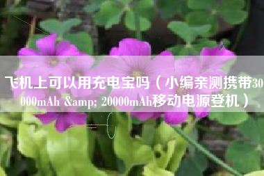 飞机上可以用充电宝吗（小编亲测携带30000mAh & 20000mAh移动电源登机）
