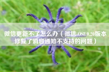微信更新不了怎么办（微信iOS8.0.20版本修复了消息通知不支持的问题）