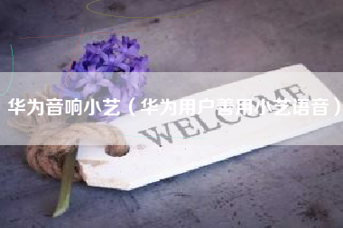 华为音响小艺（华为用户善用小艺语音）