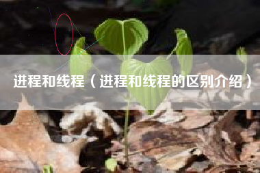 进程和线程（进程和线程的区别介绍）