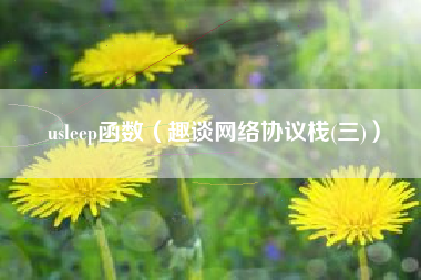 usleep函数(趣谈网络协议栈(三))