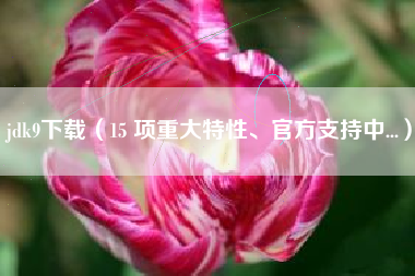 jdk9下载（15 项重大特性、官方支持中...）