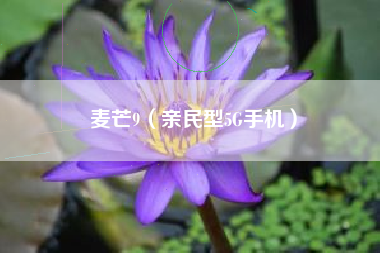 麦芒9（亲民型5G手机）