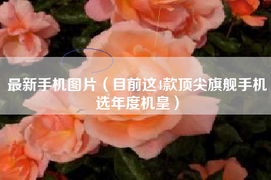 最新手机图片（目前这4款顶尖旗舰手机选年度机皇）