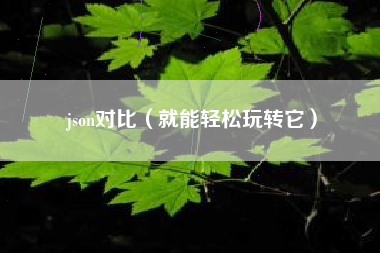 json对比（就能轻松玩转它）