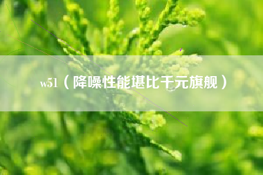 w51（降噪性能堪比千元旗舰）