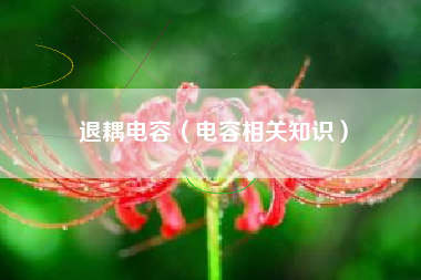 退耦电容（电容相关知识）