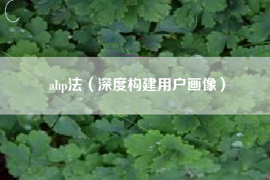 ahp法（深度构建用户画像）
