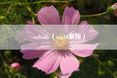 vcftools（win10系统）