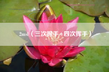 2msl（三次握手+四次挥手）
