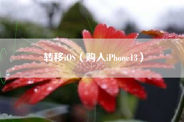 转移iOS（购入iPhone13）