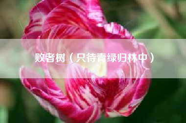败者树（只待青绿归林中）