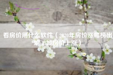 看房价用什么软件（2020年房价涨幅榜出炉:43城房价上涨）