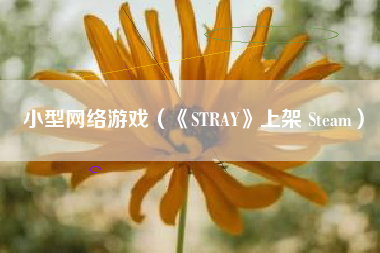 小型网络游戏（《STRAY》上架 Steam）