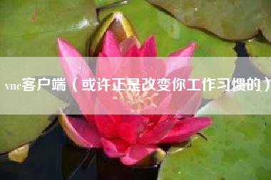vnc客户端（或许正是改变你工作习惯的）