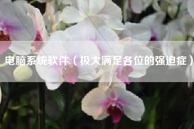 电脑系统软件（极大满足各位的强迫症）
