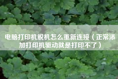 电脑打印机脱机怎么重新连接（正常添加打印机驱动就是打印不了）