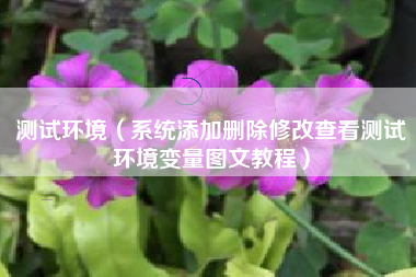 测试环境（系统添加删除修改查看测试环境变量图文教程）