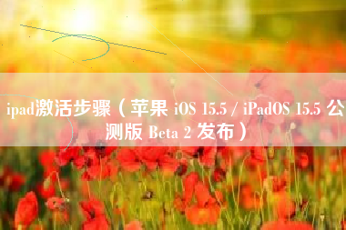 ipad激活步骤（苹果 iOS 15.5 / iPadOS 15.5 公测版 Beta 2 发布）