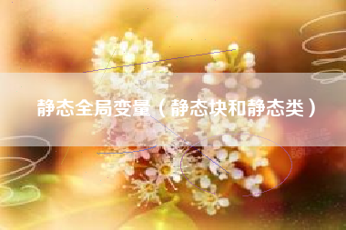 静态全局变量（静态块和静态类）