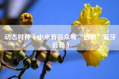 动态时钟（小米有品众筹“透明”蓝牙音箱）