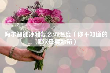 海尔智能冰箱怎么调温度（你不知道的海尔母婴冰箱）