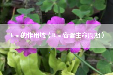 bean的作用域（Bean容器生命周期）