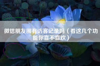 微信朋友圈有访客记录吗（看这几个功能你喜不喜欢）