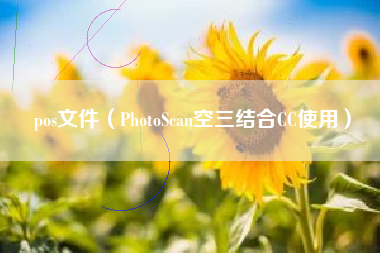 pos文件（PhotoScan空三结合CC使用）