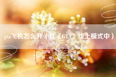 gta飞机怎么开（在《GTA》线上模式中）