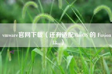 vmware官网下载（还有适配MacOS 的 Fusion 13...）