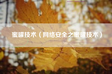蜜罐技术（网络安全之蜜罐技术）
