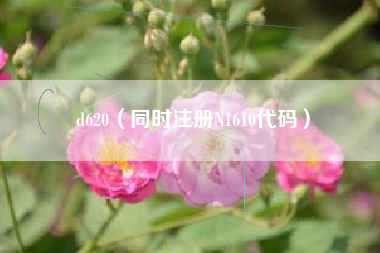 d620（同时注册N1610代码）