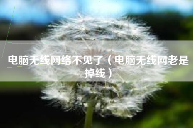 电脑无线网络不见了（电脑无线网老是掉线）