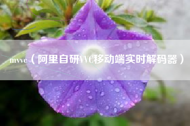 mvvc（阿里自研VVC移动端实时解码器）