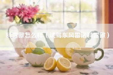科雷傲怎么样（试驾东风雷诺科雷傲）