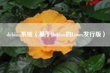 debian系统（基于Debian的Linux发行版）
