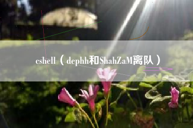 cshell（dephh和ShahZaM离队）